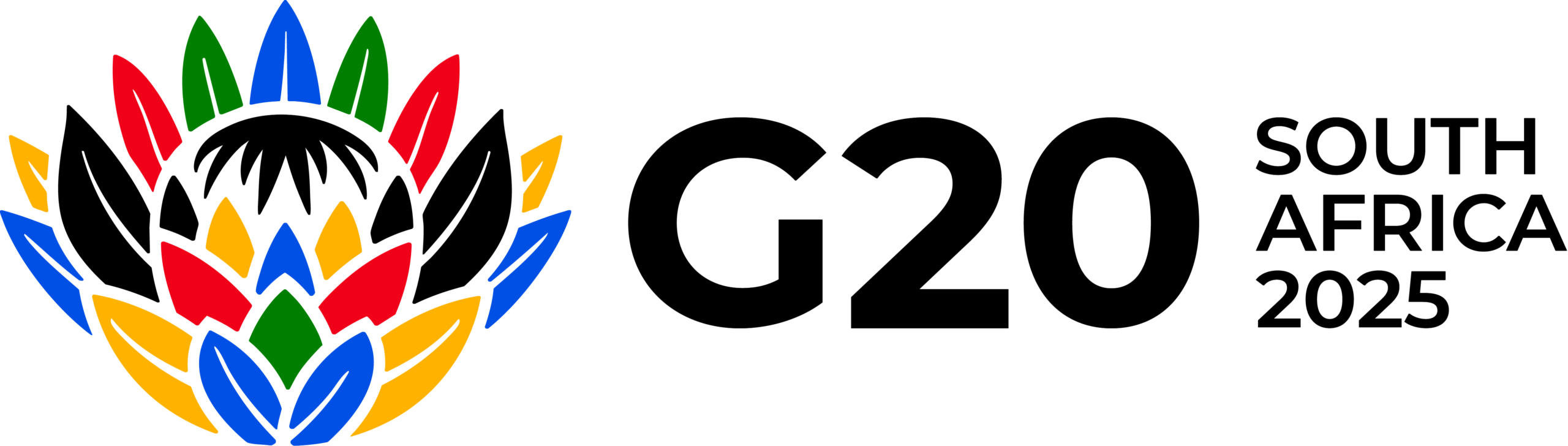 G20 South Africa Logo